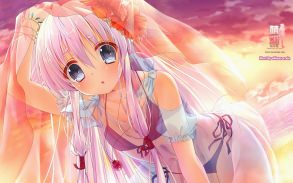      ,  , , ,  , ecchi (1333)